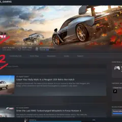 Ekran Steam z menu kontekstowym gry "Saints Row 2" otwartym na opcji "Właściwości".