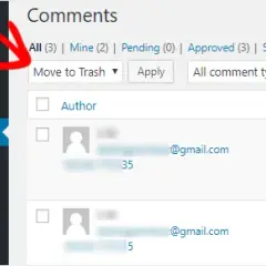 Wyłącz komentarze w WordPressie: Raz na zawsze ze spamem!