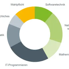 Kreisdiagramm zeigt Module eines bioinformatik studium: Wahlpflicht, Softwaretechnik, Naturwissenschaften, Mathematik, IT-Programmieren, Bioinformatik, Überfachliches.