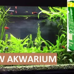 Ile soli do akwarium słodkowodnego? Kluczowe dawkowanie dla zdrowia ryb