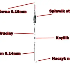 Jak przygotować wędkę spławikową? Poradnik krok po kroku