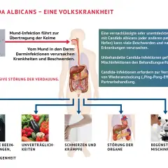 Psychische Belastung, Verdauungsprobleme, Schmerzen, Organstörungen und Mischinfektionen sind Symptome, wenn Candida abstirbt.