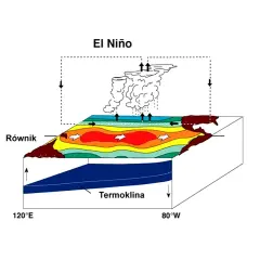El Niño: schematyczne przedstawienie zjawiska, pokazujące ciepłe wody na równiku i chmury burzowe.