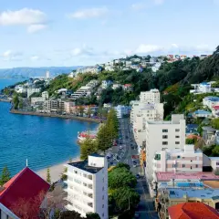 Vista de Wellington, Nueva Zelanda, con casas en la colina y el mar. ¡Un lugar ideal para tu working holiday!