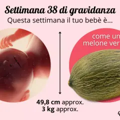 A 38 settimane di gravidanza, il tuo bebè è grande come un melone verde, circa 49,8 cm e 3 kg.