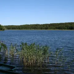 Czyste jezioro kujawsko-pomorskie: odkryj najczystsze miejsca na wypoczynek