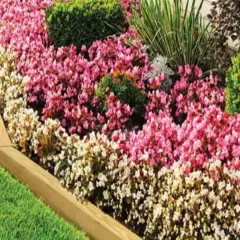 Learn how to install landscape timbers to create a beautiful border for this vibrant flower bed.