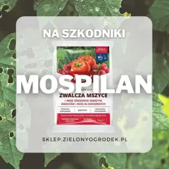 Mospilan na mszyce. Opakowanie środka ochrony roślin z pomidorami i malinami, zwalcza mszyce i inne szkodniki warzyw, owoców i roślin ozdobnych.