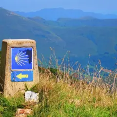 Kamień z symbolem muszli i żółtą strzałką, wskazujący drogę na Santiago de Compostela szlak z Polski. W tle góry.