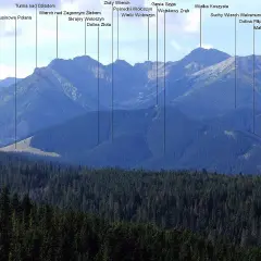 Widok na Tatry z zaznaczonymi szczytami, w tym Gęsia Szyja. Widać las i skaliste zbocza gór.