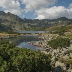 Malownicze szczyty w Tatrach odbijają się w spokojnej tafli jeziora. Kamieniste zbocza i zielona kosodrzewina tworzą surowy krajobraz.