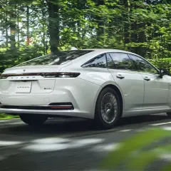 Biały Toyota Crown sunie przez zielony las.