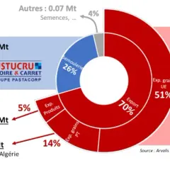 Graphique montrant les exportations de blé dur. La semoulerie française représente 0.50 Mt. L'exportation de grains UE est de 1 Mt.