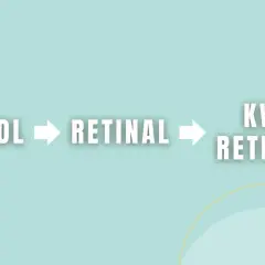 Schemat pokazuje przemianę retinolu w retinal, a następnie w kwas retinowy. To klucz do zrozumienia działania retinoidów w pielęgnacji.
