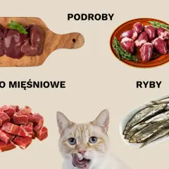 Kiełbasa dla kota: bezpieczne alternatywy i domowe przepisy