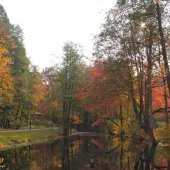 Jesienna trasa w Wejherowie nad spokojną wodą, otoczona drzewami w barwach złota i czerwieni.