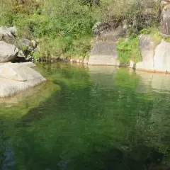 Un hombre se baña en la poza de agua verde de la corga da fecha, rodeada de rocas y vegetación.