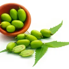 Frutti verdi di neem in una ciotola di terracotta e sparsi, con foglie. L'olio di neem per le piante ha controindicazioni da conoscere.