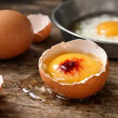Un œuf cassé révèle un jaune vif avec une tache sombre, comme une goutte de sang. D'autres coquilles et un œuf au plat en arrière-plan.
