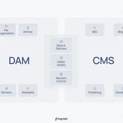 Diagram showing DAM and CMS platform features, including file organization, collaboration, media assets, SEO, blogging, and web content publishing.