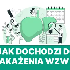 Naukowcy badają wątrobę i objawy wzw B. Mikroskop, probówki i kalendarz wskazują na analizę i planowanie leczenia.