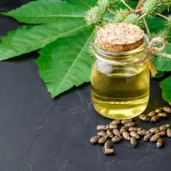 Aceite de ricino para el pelo en un frasco, rodeado de semillas y hojas de ricino.