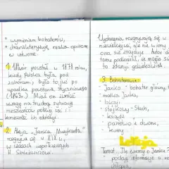 Janko Muzykant: Streszczenie, analiza. Dlaczego talent zginął?