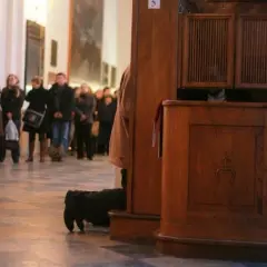 Co to jest spowiedź powszechna i jak różni się od spowiedzi indywidualnej