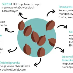 Czy pies może jeść siemię lniane? Sprawdzone porady i dawkowanie