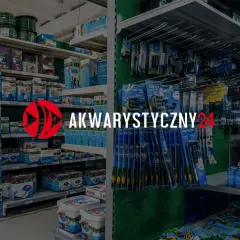 Jak zrobić kryjówki dla rybek - proste sposoby na bezpieczne schronienia