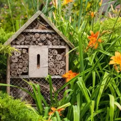 Ett insektshotell i trä, fyllt med träbitar och kvistar, står i en lummig trädgård bland gröna blad och orange liljor. Perfekt insektshotell placering för att locka pollinerare.