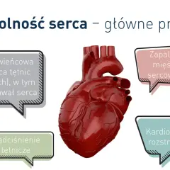 Anatomical heart with labels: choroba wieńcowa, zapalenie mięśnia sercowego, nadciśnienie tętnicze, kardiomiopatia rozstrzeniowa. Te czynniki mogą prowadzić do niewydolności serca.