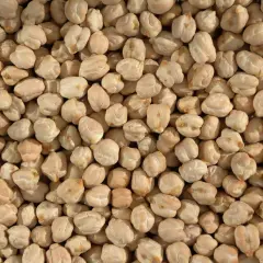 Nahaufnahme von trockenen Kichererbsen, bereit zur Zubereitung aus der Dose.