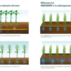 Confronto tra sistemi di irrigazione: UNDERDRIP e tradizionale. Illustra diversi tipi di terreno e la distribuzione di acqua e fertilizzanti.