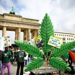 Protest w Berlinie. Ludzie domagają się legalizacji marihuany, nie chcą być traktowani jak przestępcy. Co grozi za posiadanie marihuany w Niemczech?