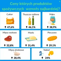 Cena ramenu w Polsce: Jak oszczędzić? Sprawdź, co się opłaca!