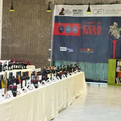 Banchetti pieni di bottiglie di vino, tra cui il Cesanese del Piglio, in un evento dedicato alla cultura enogastronomica.