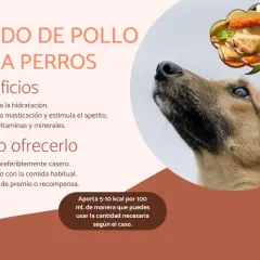 Un perro mira hacia arriba, soñando con un tazón de caldo de pollo para perros, lleno de zanahorias y hierbas.