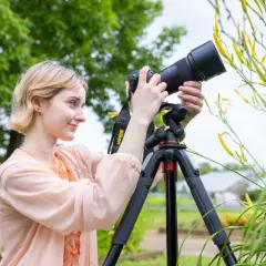 Kobieta z aparatem na statywie fotografuje żółte kwiaty w ogrodzie.
