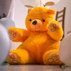 Jak nazwać misia pluszowego? Oto najlepsze pomysły na imiona