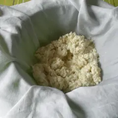 Fiocchi di latte o ricotta appena scolati, pronti per essere gustati.