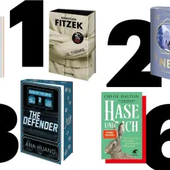 Sebastian Fitzeks meistverkauftes Buch "Die Therapie" ist hier neben anderen Bestsellern zu sehen.