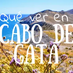Paisaje de Cabo de Almería con flores moradas y amarillas en primer plano y el mar azul al fondo.