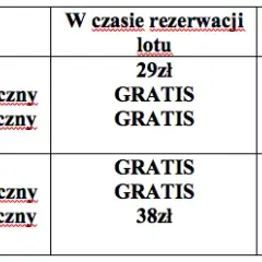 Bagaż rejestrowany Ryanair – co to jest i ile kosztuje?