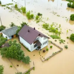 Skuteczne metody osuszania działki: uniknij problemów z wodą