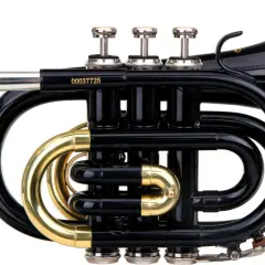 Un petit cornet noir brillant, un type de trompette compact, avec des accents dorés et un embout argenté.