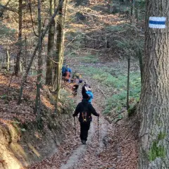 Grupa turystów idzie leśnym szlakiem, na drzewie niebieski znak PTTK.