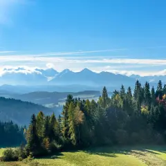 Zakopane latem: Co zwiedzić? Szlaki, atrakcje i praktyczne tipy
