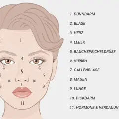 Gesichtskarte: Zonen für Pickel und Hautprobleme, z.B. T-Zone (Stirn, Nase, Kinn) und Wangen, mit Bezügen zu inneren Organen und dem Verdauungssystem.