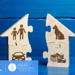 Rozprawa apelacyjna jak wygląda? Dwa domy z puzzli rozdzielone, symbolizujące podział majątku, rodziny i zwierząt.